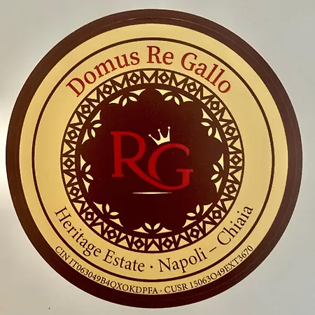 Re Gallo Luxury Plebiscito In Via Chiaia Apartment Naples
